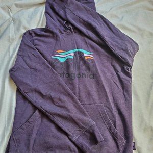 Patagonia Hoodie